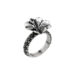Online Anello Donna Quadrifoglio In Argento Gioielli | BM2070 Donna Gioielli Moda Donna
