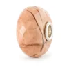 Hot Beads In Vetro Conchiglia Fossile Gioielli | TSTBE-20043 Donna Gioielli Moda Donna