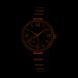 New Orologio Automatico Donna Automatic | F20487/1 Donna Orologi Donna