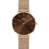 Outlet Orologio Wellington Petite Rose Amber 32 mm | DW00100477 Donna Orologi Donna