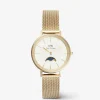 Hot Orologio Donna Wellington Petite Lune Evergold | DW00100771 Donna Orologi Donna
