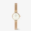 Sale Orologio Donna Wellington Petite Mini Evergold | DW00100745 Donna Orologi Donna